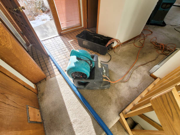 Best Water damage restoration services  in Goleta, CA