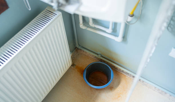 Best Water damage mitigation services  in Goleta, CA