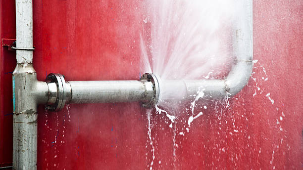Best Professional water damage repair  in Goleta, CA