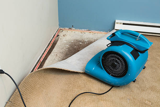 Best Fire Damage Restoration  in Goleta, CA